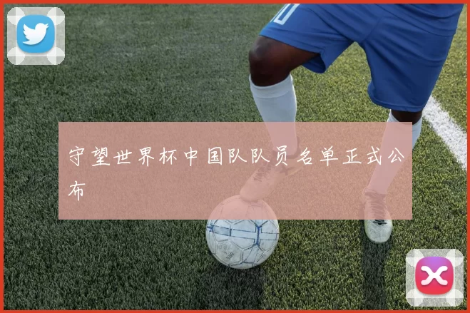 守望世界杯中国队队员名单正式公布