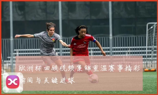 欧洲杯回顾视频集锦重温赛事精彩瞬间与关键进球