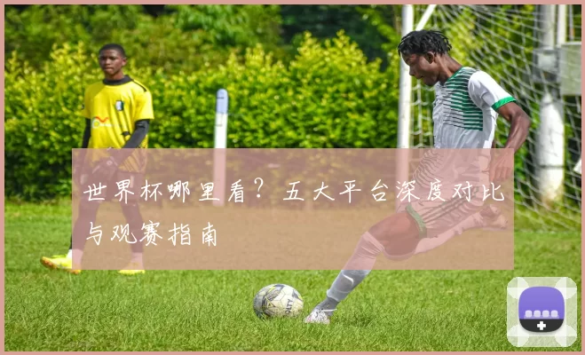 世界杯哪里看？五大平台深度对比与观赛指南