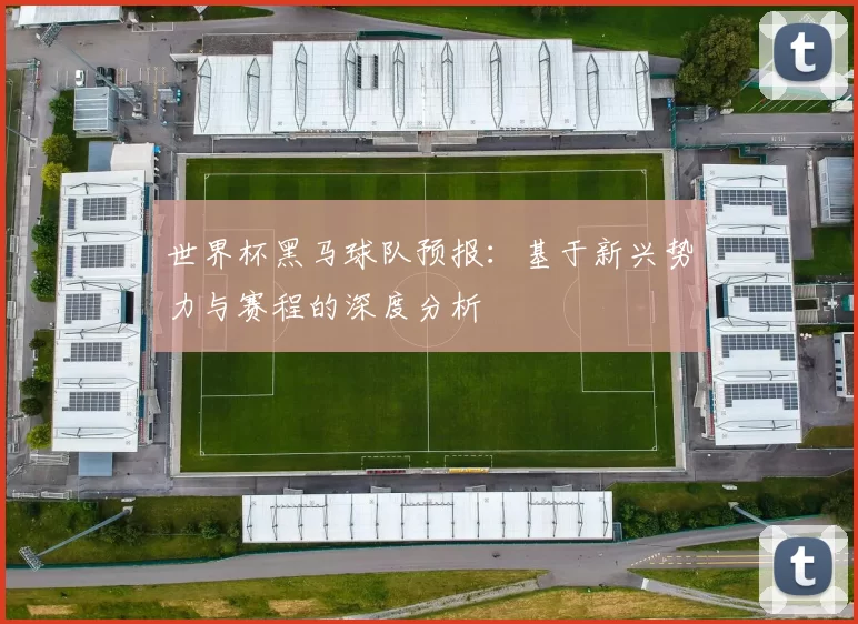 世界杯黑马球队预报：基于新兴势力与赛程的深度分析