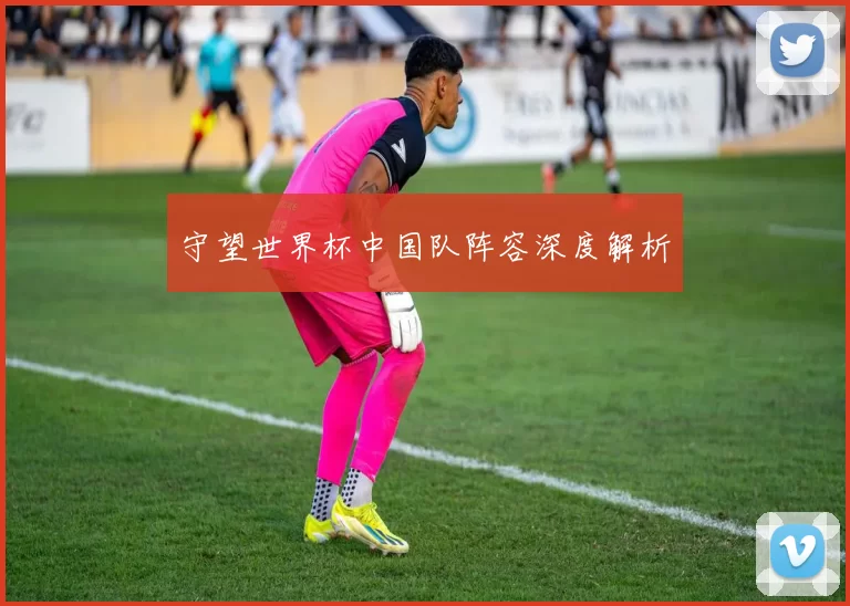 守望世界杯中国队阵容深度解析