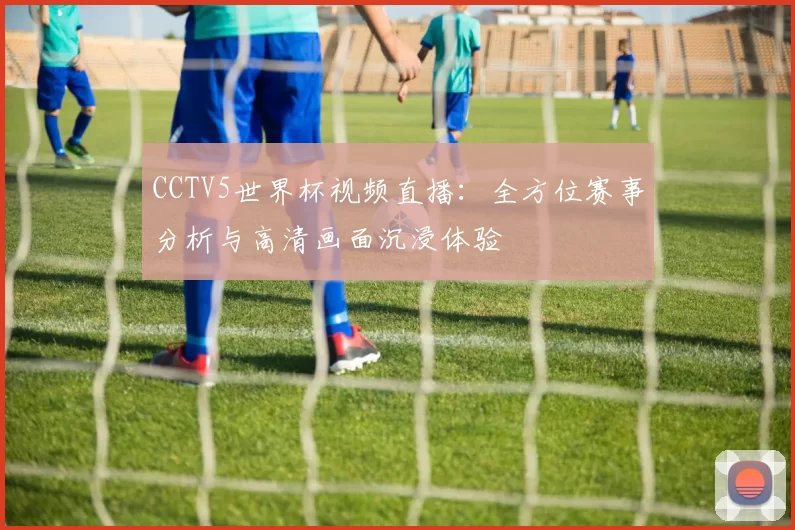 CCTV5世界杯视频直播:全方位赛事分析与高清画面沉浸体验