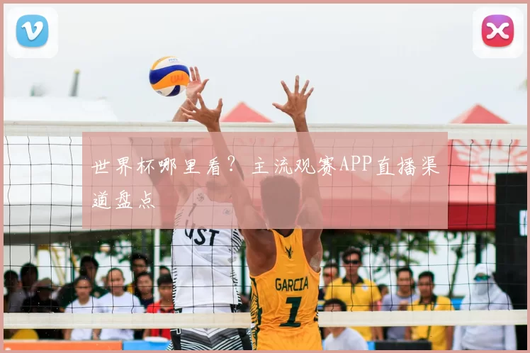 世界杯哪里看？主流观赛APP直播渠道盘点