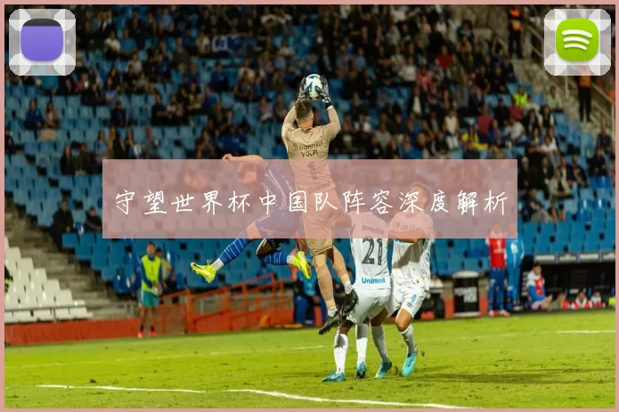 守望世界杯中国队阵容深度解析