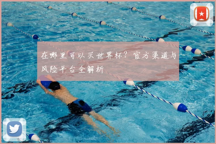 在哪里可以买世界杯？官方渠道与风险平台全解析