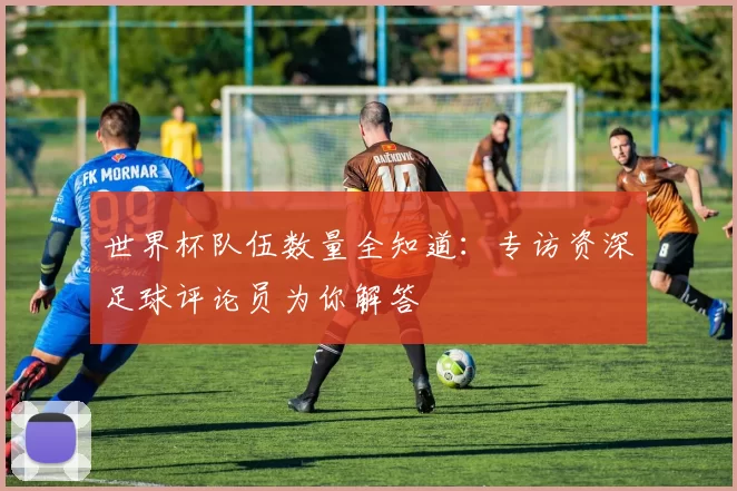 世界杯队伍数量全知道：专访资深足球评论员为你解答