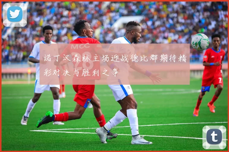 诺丁汉森林主场迎战德比郡期待精彩对决与胜利之争